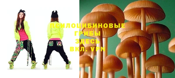 дурь Аркадак