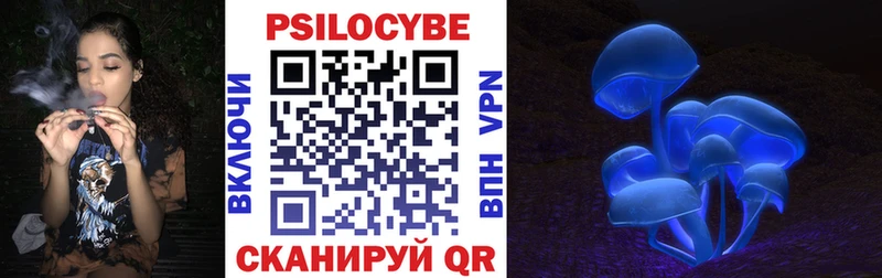 Псилоцибиновые грибы Psilocybine cubensis  Сасово 